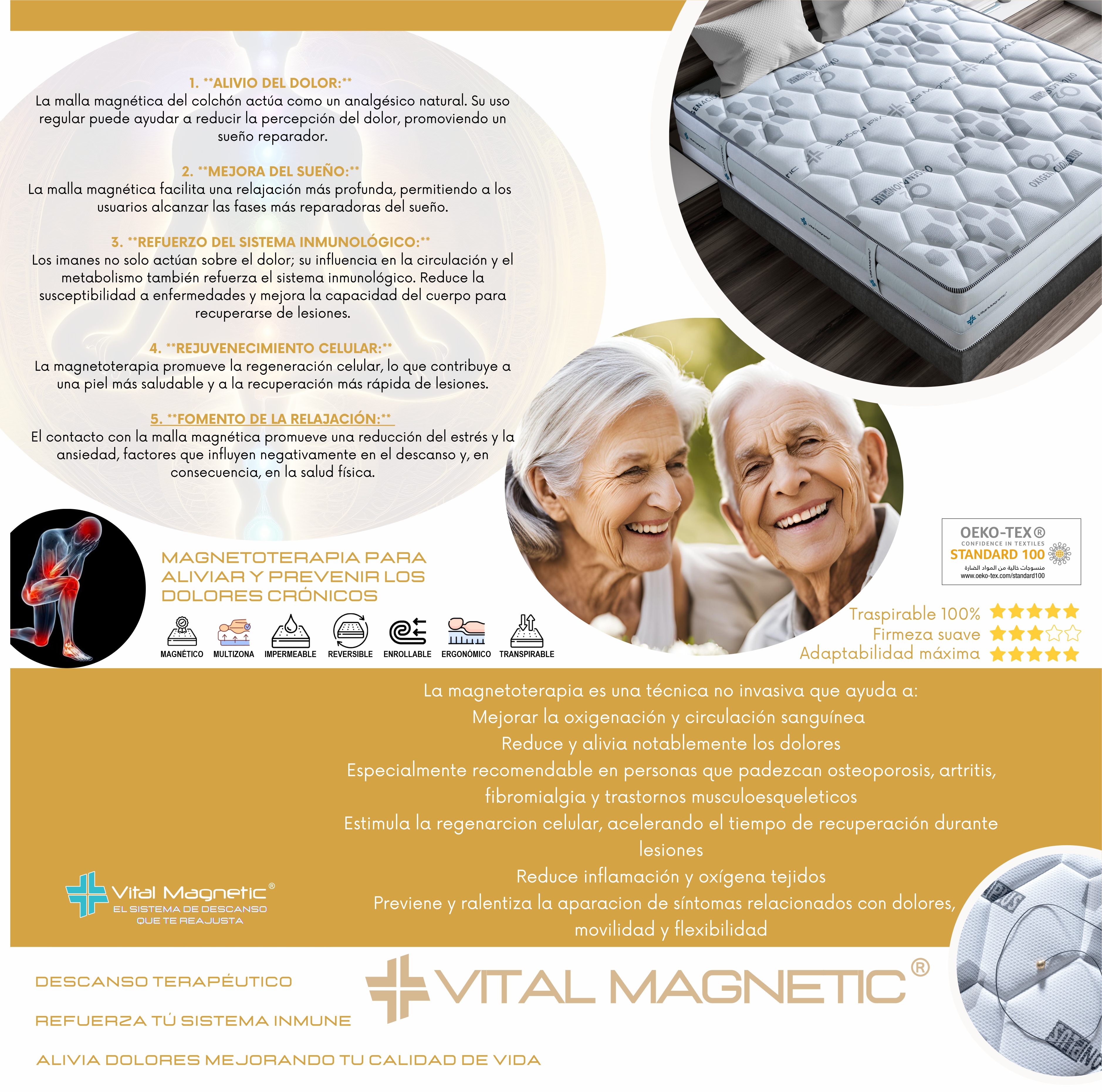 44-vital-magnetic.jpg